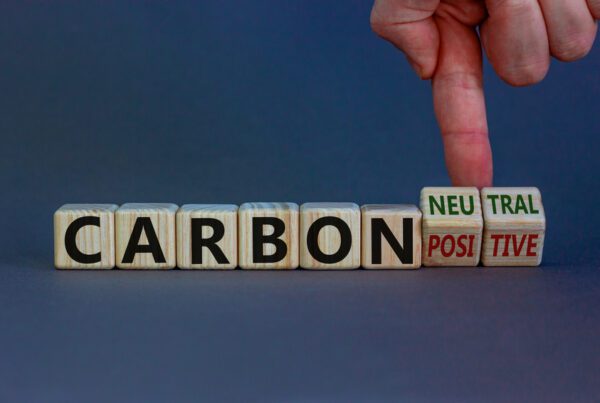 carbon neutral on wooden blocks